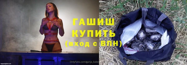 шишки Арсеньев