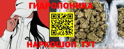 бошки Гатчина