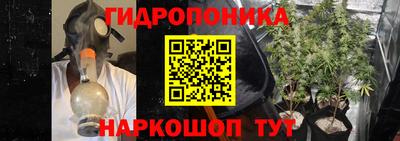 ПСИЛОЦИБИНОВЫЕ ГРИБЫ Гай